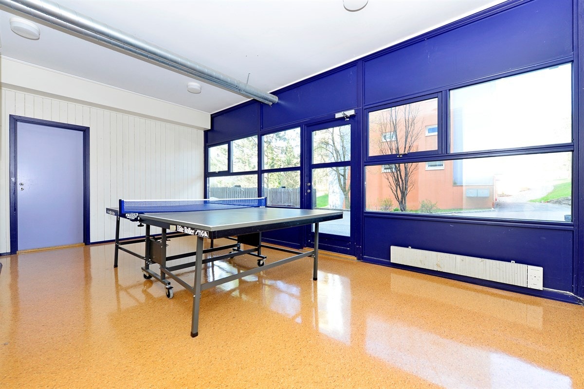 Bordtennisrom Galleribilde