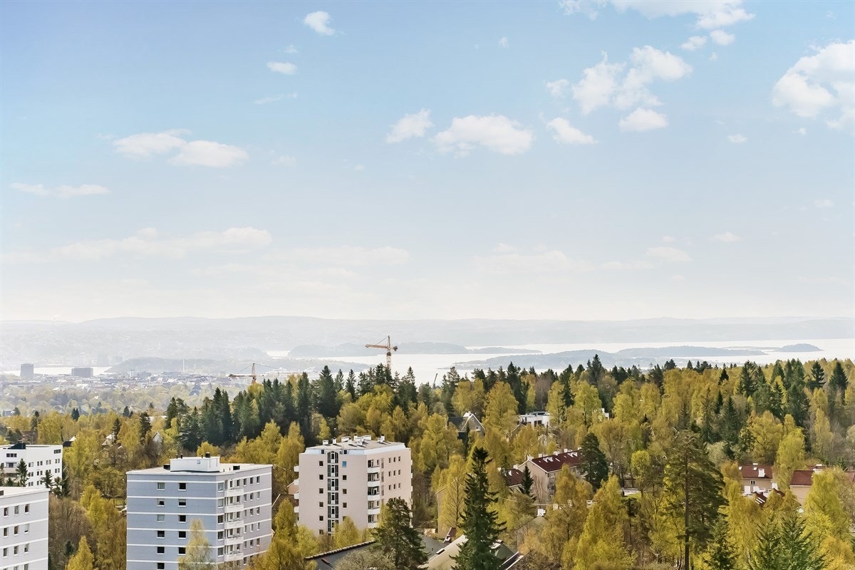 Leiligheten har en fantastisk utsikt over byen og Oslofjorden som må sees! Galleribilde