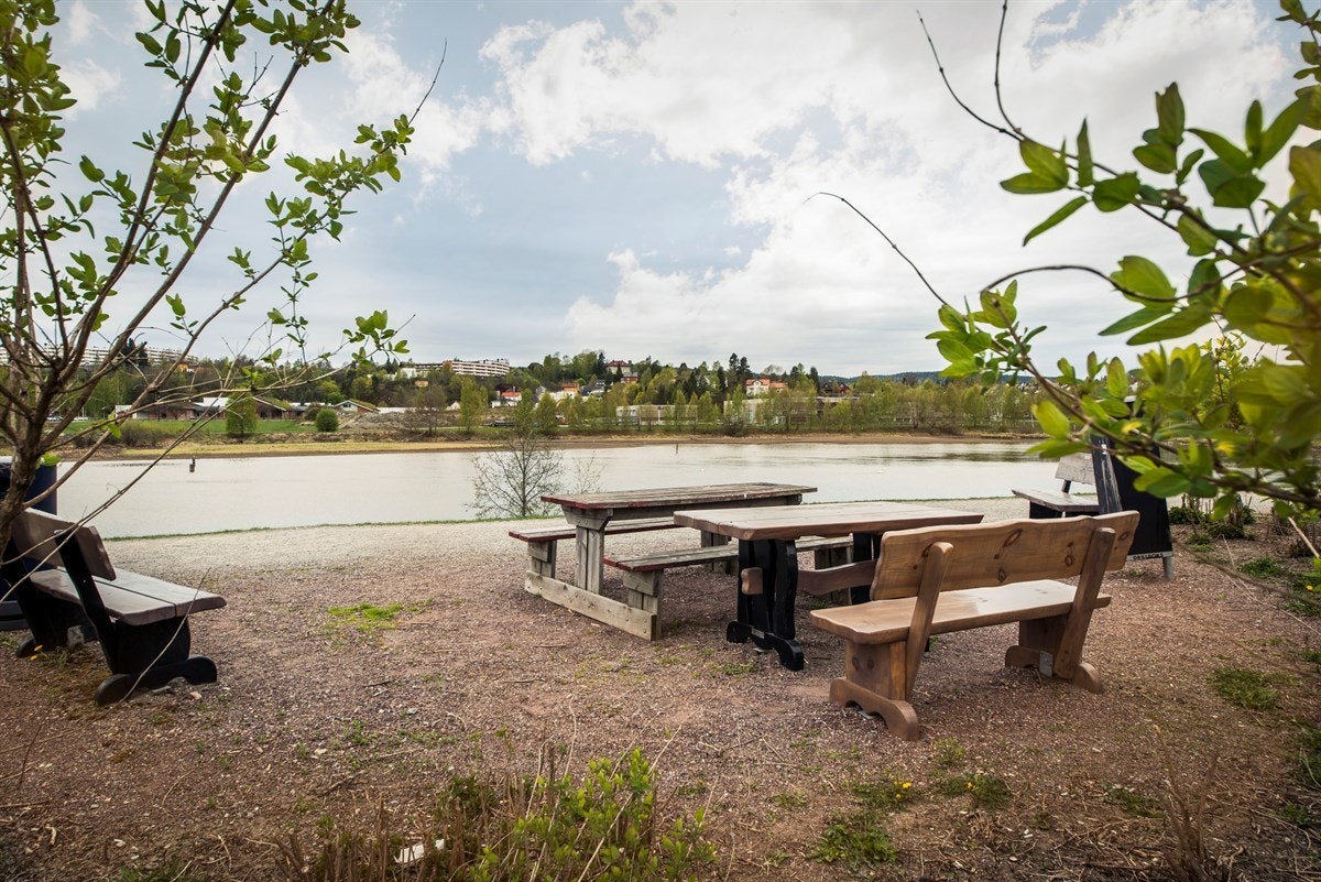 Områdebilde 4 Galleribilde