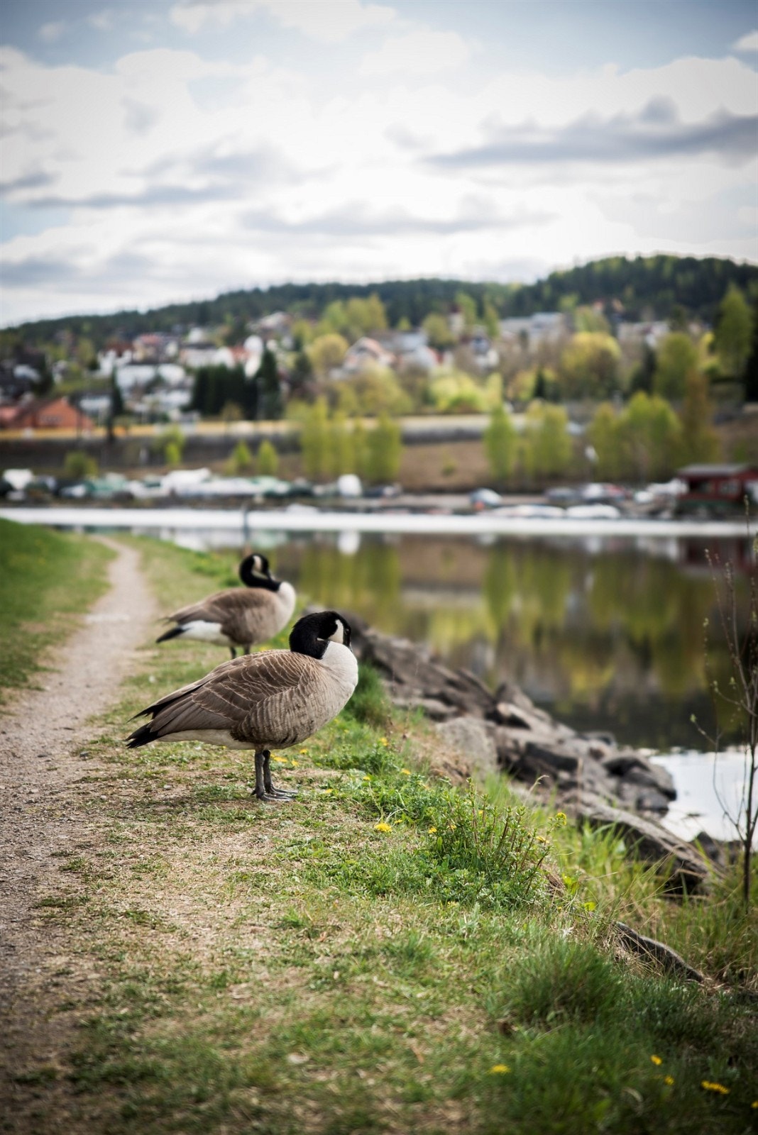 Områdebilde 1 Galleribilde