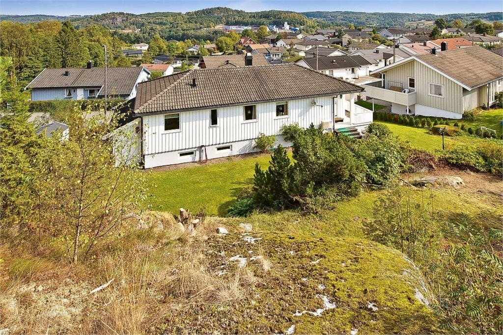 Mastfoto Galleribilde