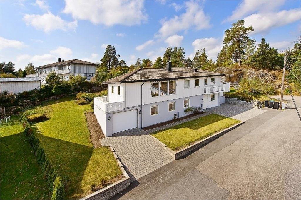 Mastfoto Galleribilde