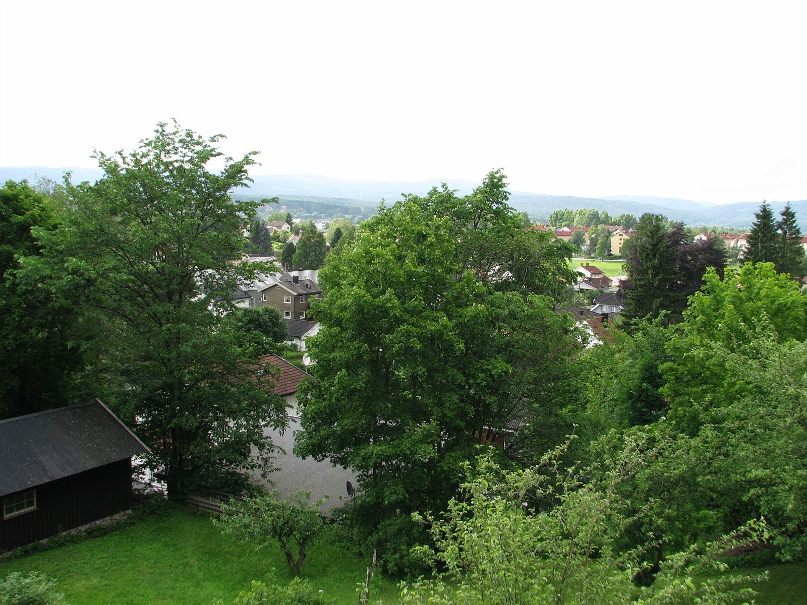 Utsikt sommer Galleribilde