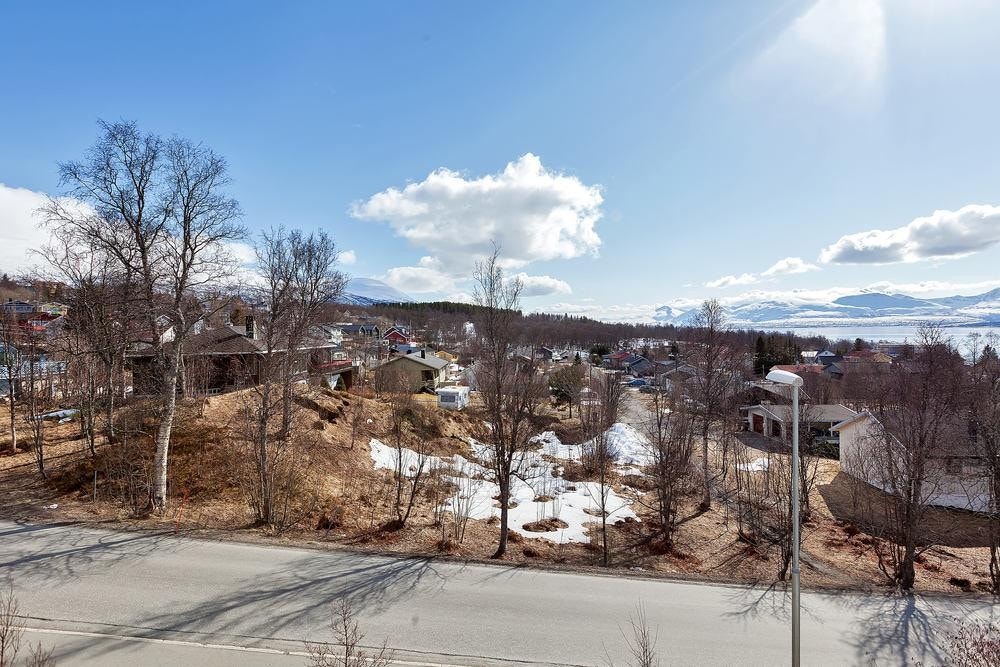 En kommer høyt opp fra veg, og har ingen gjenboere (innsyn) Galleribilde