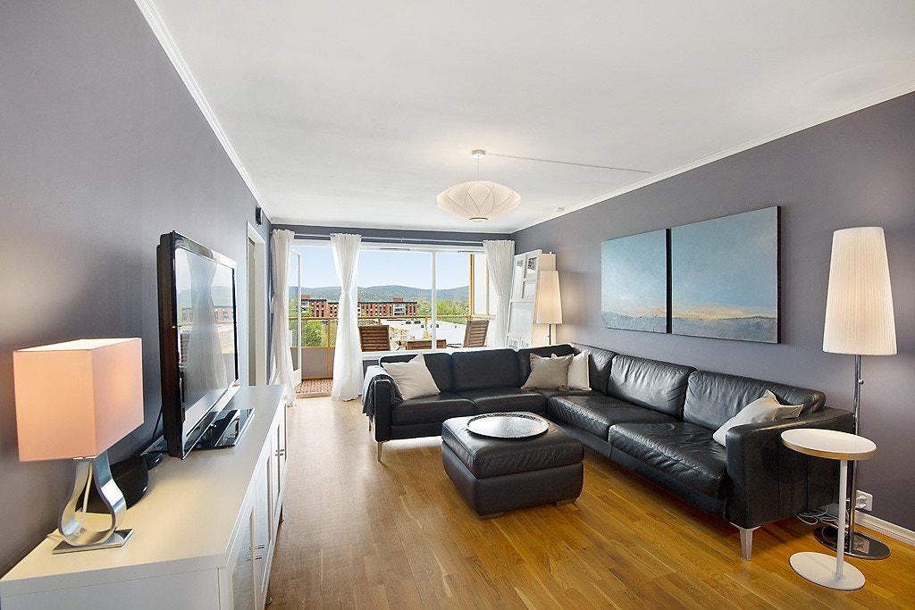 Luftig stue med utgang til vestvendt balkong Galleribilde