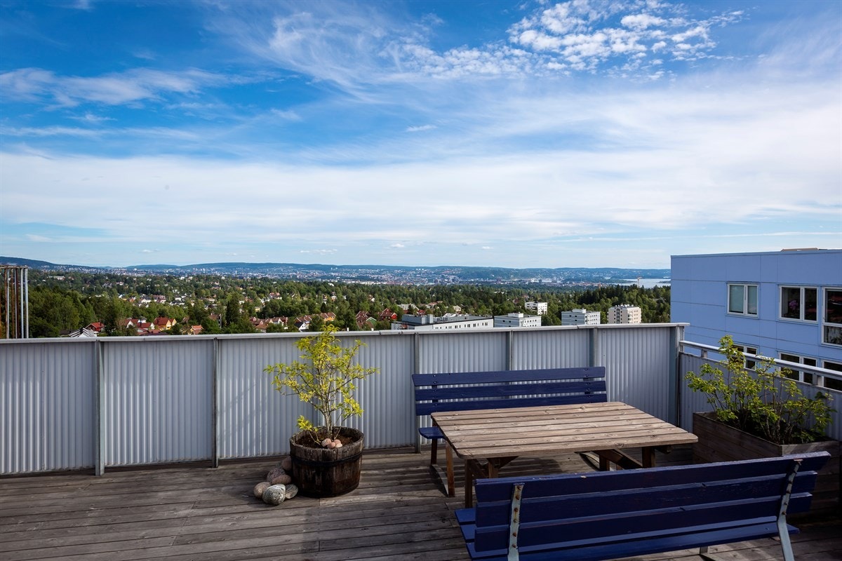 Takterrasse Galleribilde