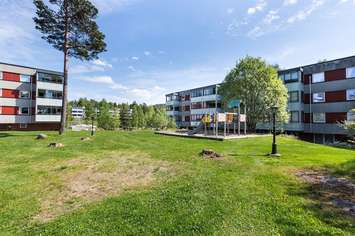 Stor grønn lunge foran blokken. Galleribilde