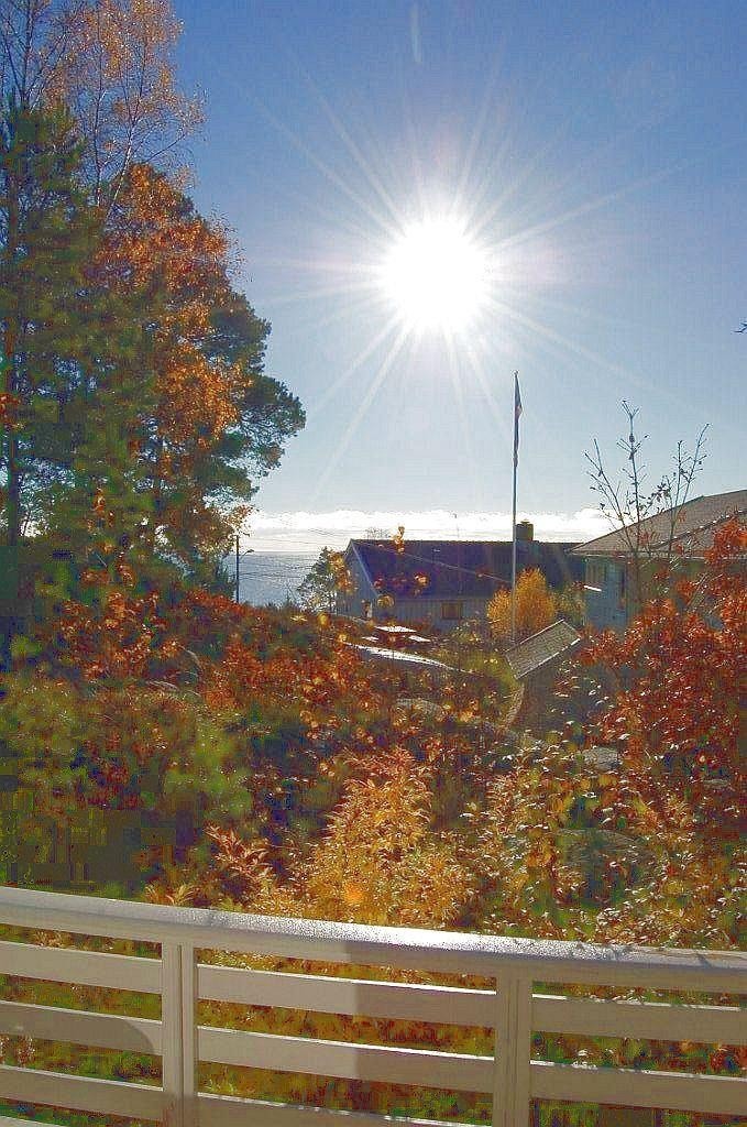 Havutsikt fra verandaen ved stua Galleribilde