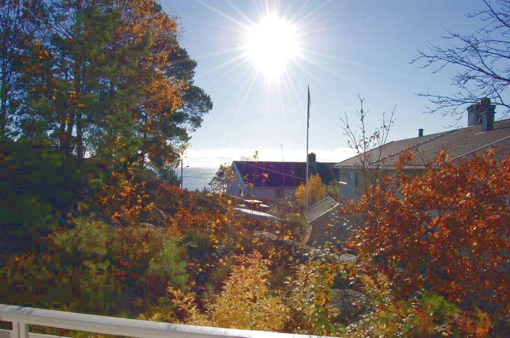 Nydelig havustikt fra stua Galleribilde