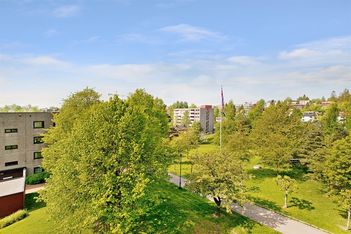 Hyggelig grønt utsyn mot sydvest retning Røa Galleribilde