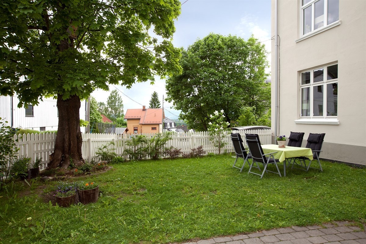 Felles hage med ettermiddags/kveldssol Galleribilde