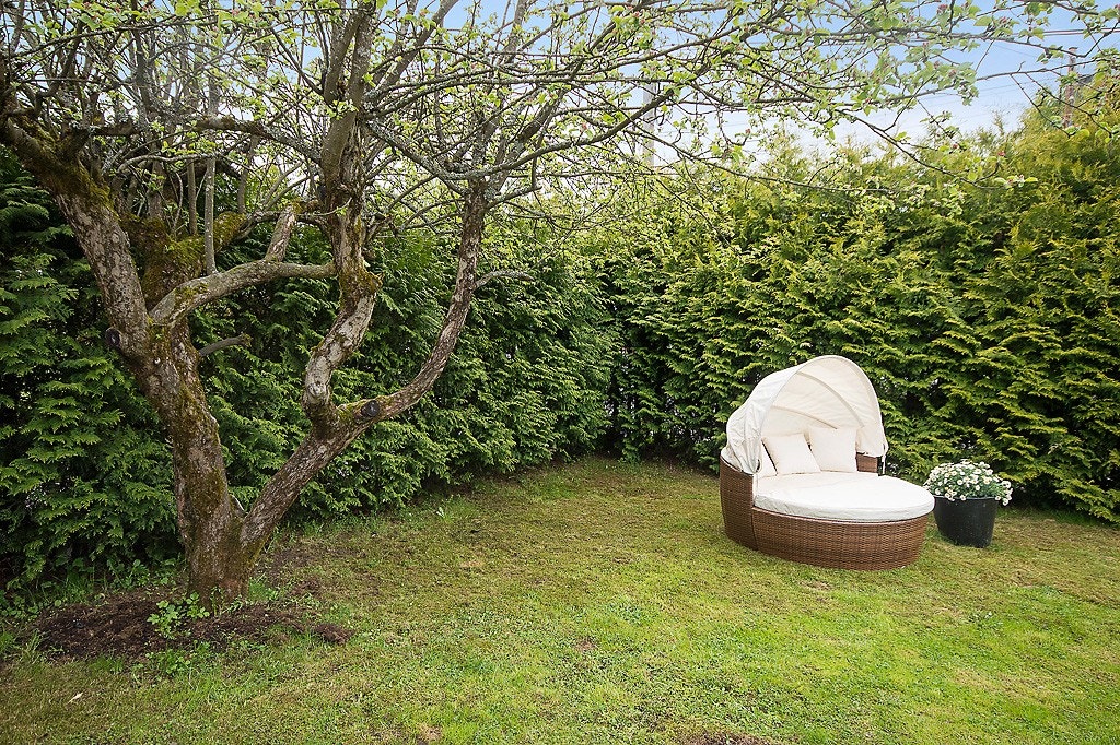 Have med eple- og kirsebærtrær Galleribilde