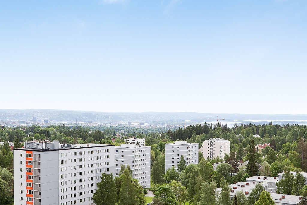 Fantastisk utsikt Galleribilde