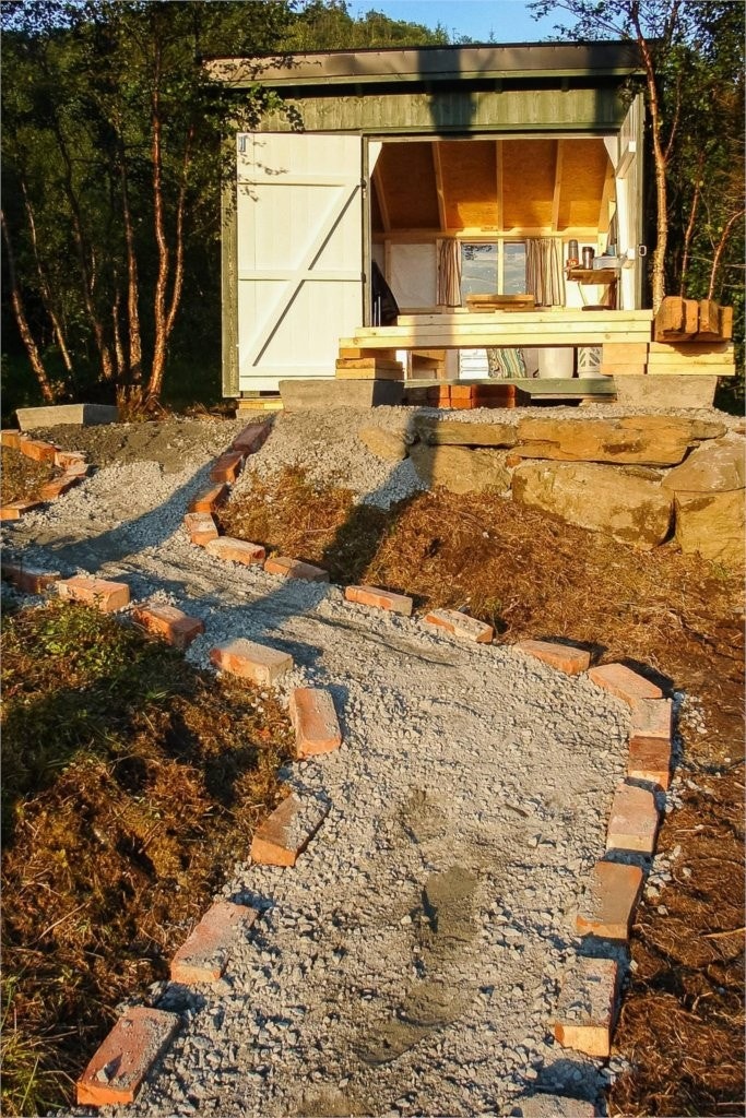 skogen-selgersbilder Galleribilde