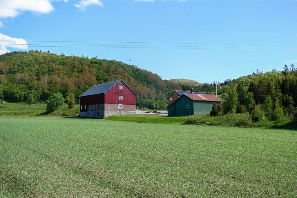 skogen-selgersbilder Galleribilde