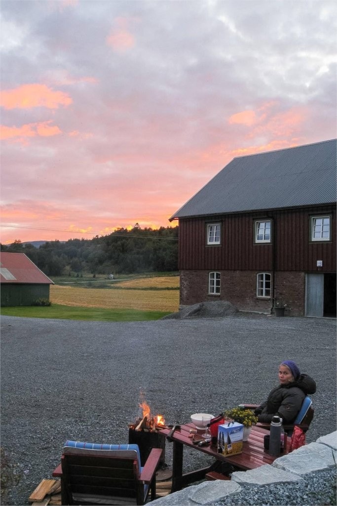 skogen-selgersbilder Galleribilde