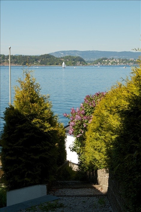 Frodig allé ned til Båtsmann. Galleribilde