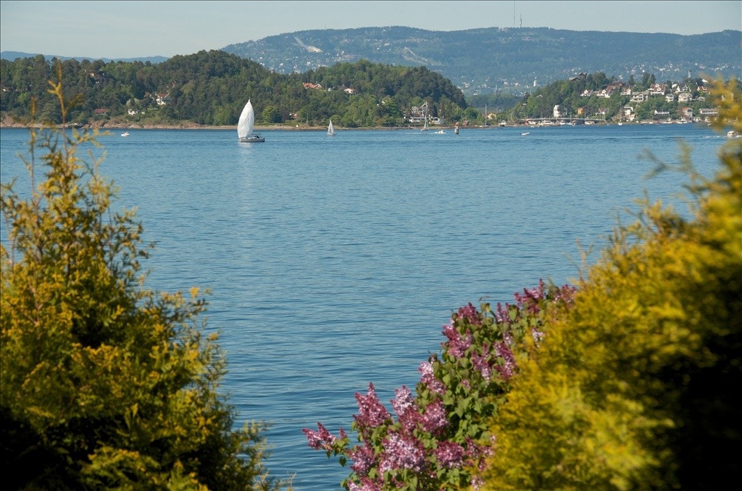 Full oversikt over hva som skjer i Oslo, enten det er fyrverkeri fra Operataket på nyttårsaften eller arrangementer i Holmenkollen. 10 minutter med speedbåt inn til Aker Brygge. Galleribilde
