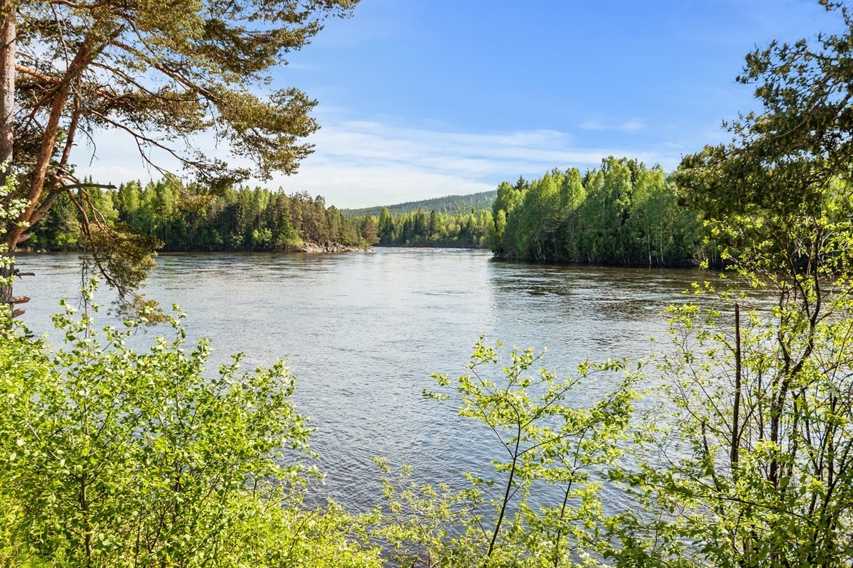 Område Galleribilde