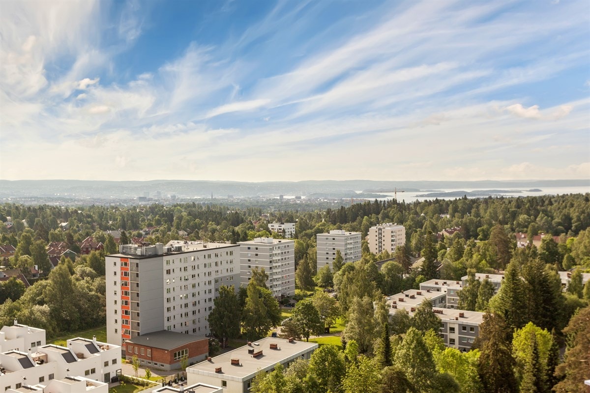 Fantastisk utsikt mot Oslo by Galleribilde