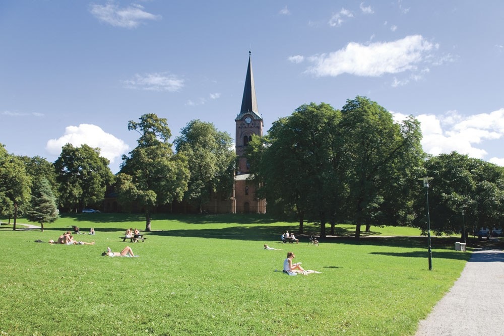 Områdebilde Sofienbergparken. Galleribilde