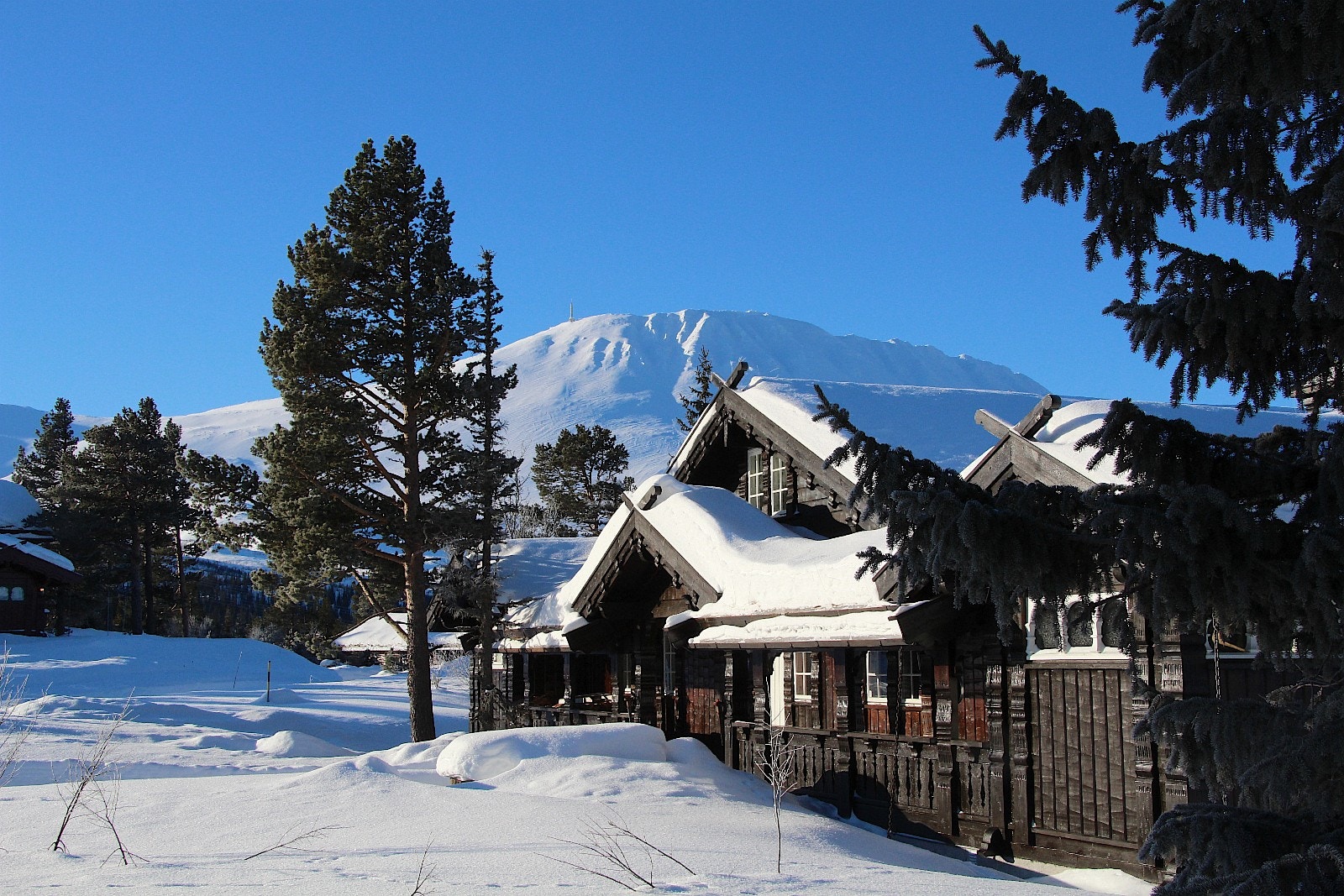 * Fasade Galleribilde