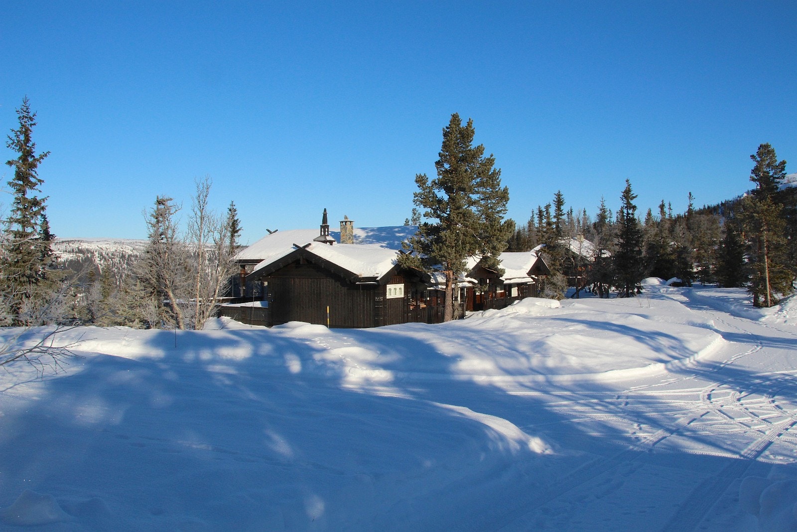 * Flott terreng rundt hytta Galleribilde