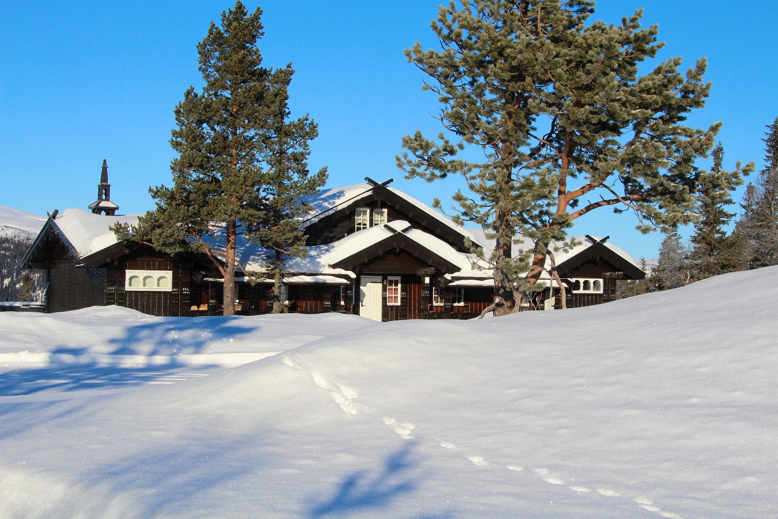 * Fasade Galleribilde