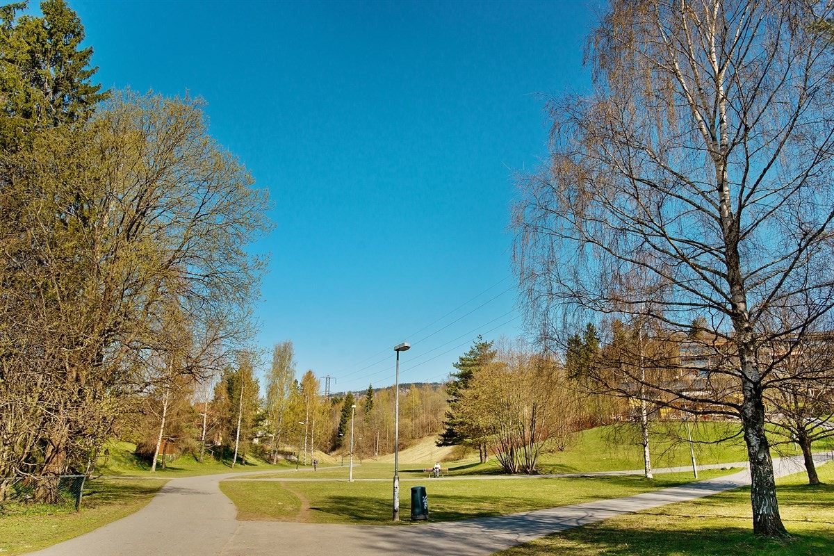 Mærradalen ligger kun et steinkast unna boligen Galleribilde