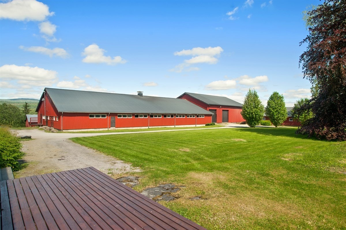 Driftsbygning for løsdrift Galleribilde