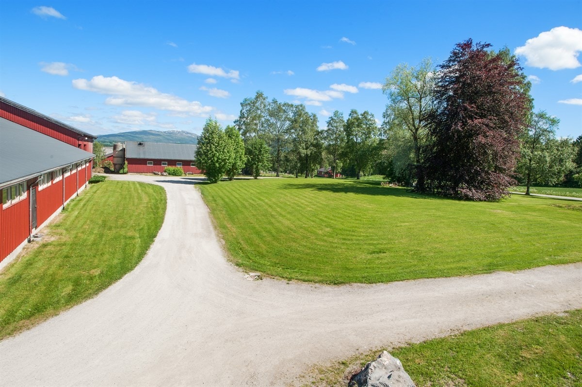 Store plenarealer i front av våpningshuset ca 3mål Galleribilde