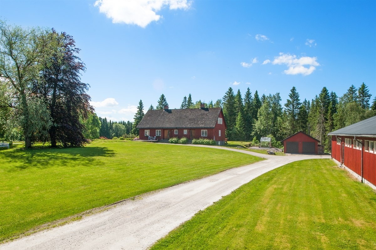 Stort tunområde med plenareal, romslik treplatting Galleribilde