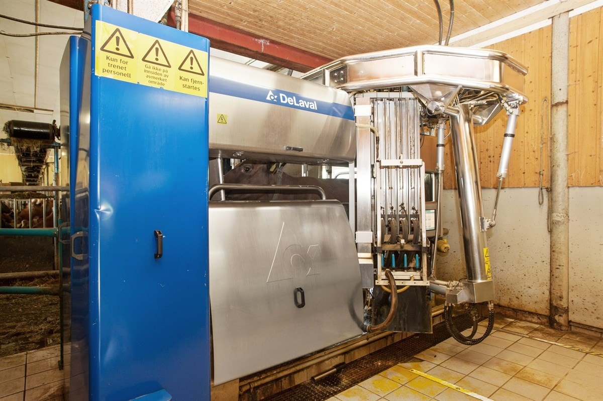 Melkerobot, del av oppgradering i 2001 Galleribilde