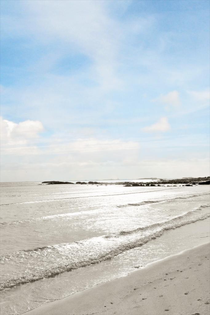 Nærområde Galleribilde