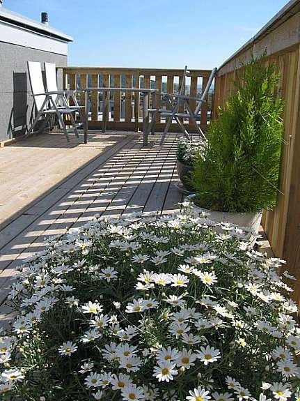 Fra takterrassen Galleribilde