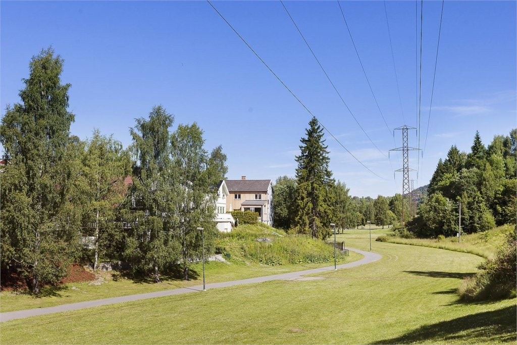 Nærområde Galleribilde