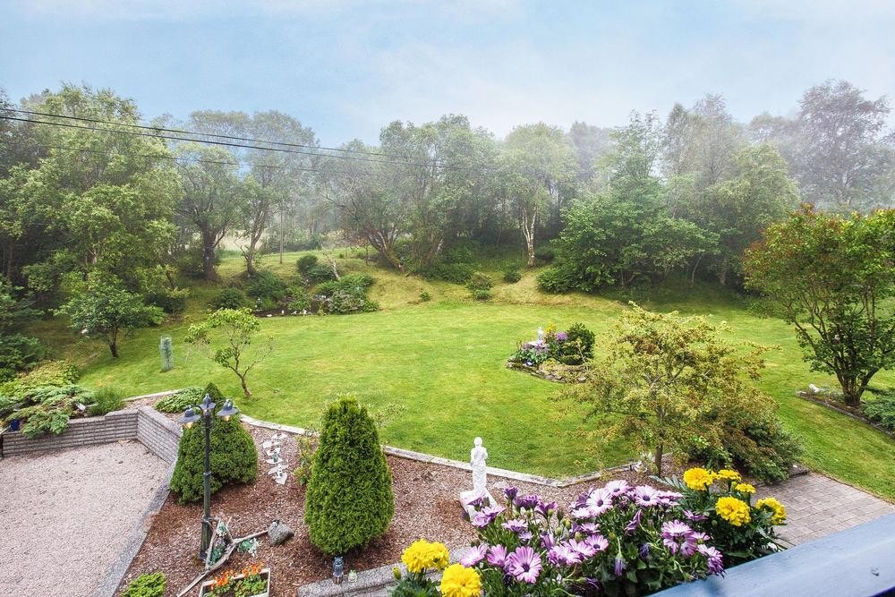 Hage med plen og beplantning Galleribilde