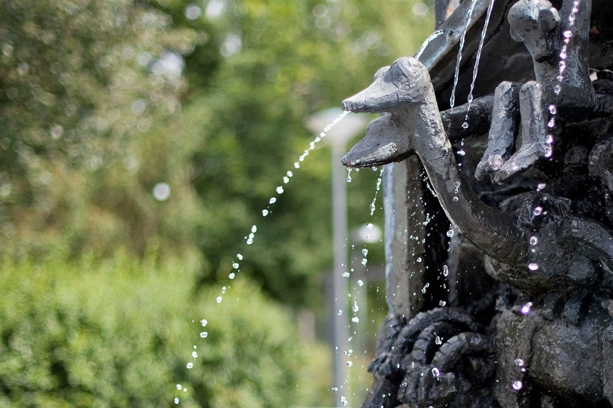 Nærområdet Galleribilde