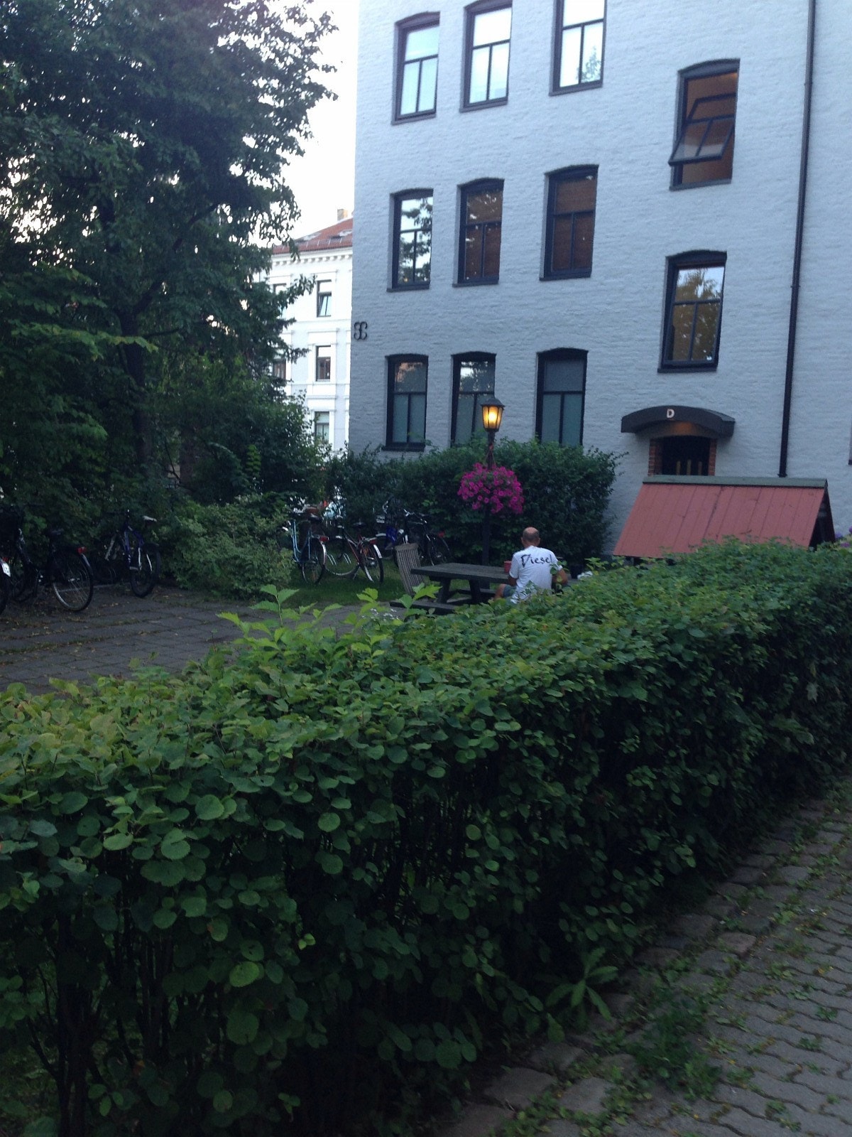 Bakgård Galleribilde