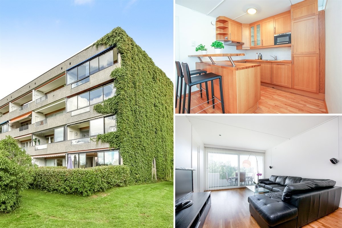 collage_co Galleribilde