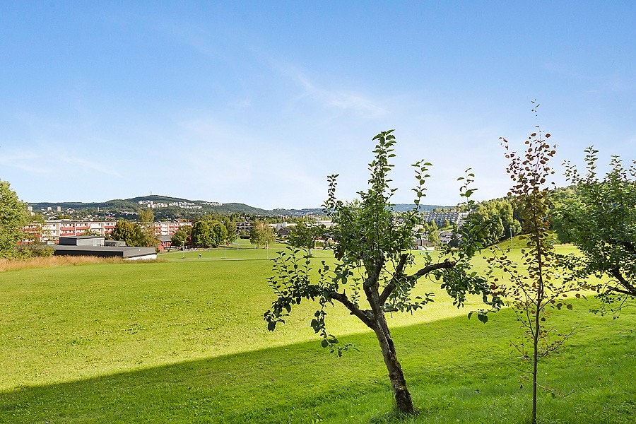 Omradebilde Galleribilde