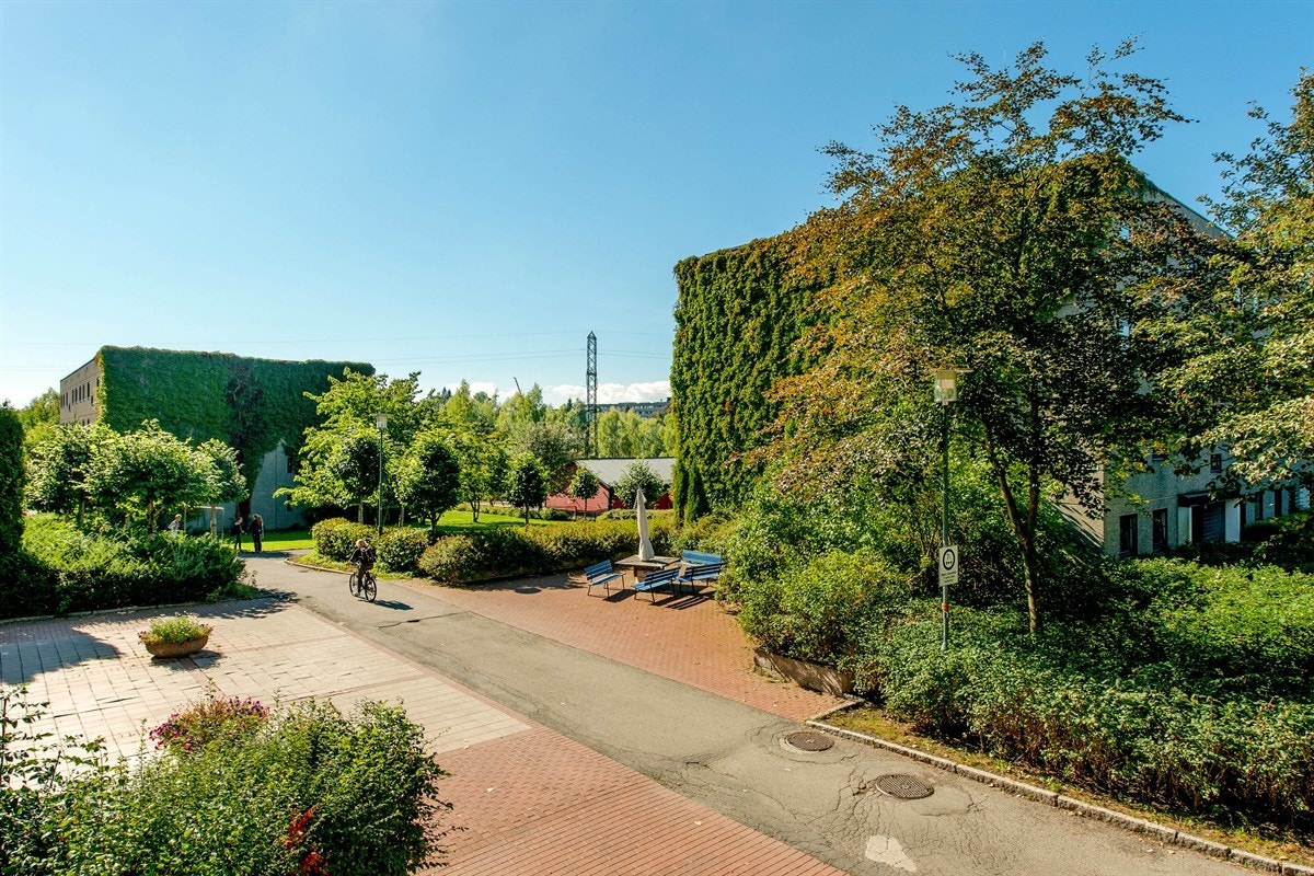 Hyggelig utsyn mot indre boområde. Galleribilde