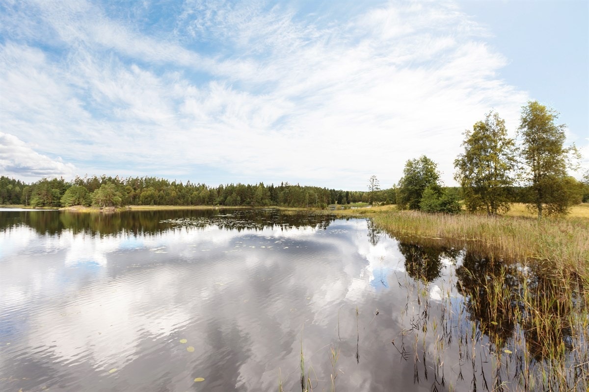 Bøensætretjern ligger nedenfor gården Galleribilde