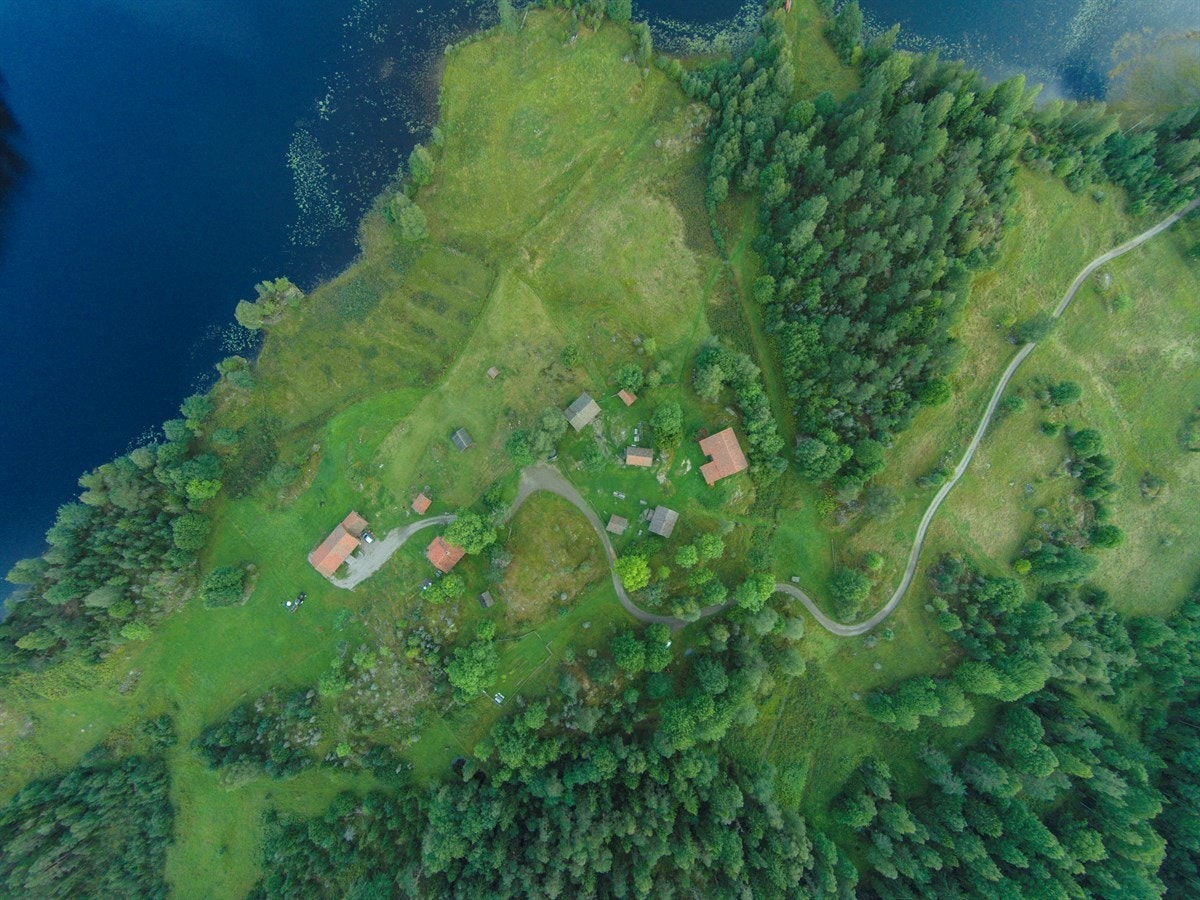 Velkommen til visning! Galleribilde