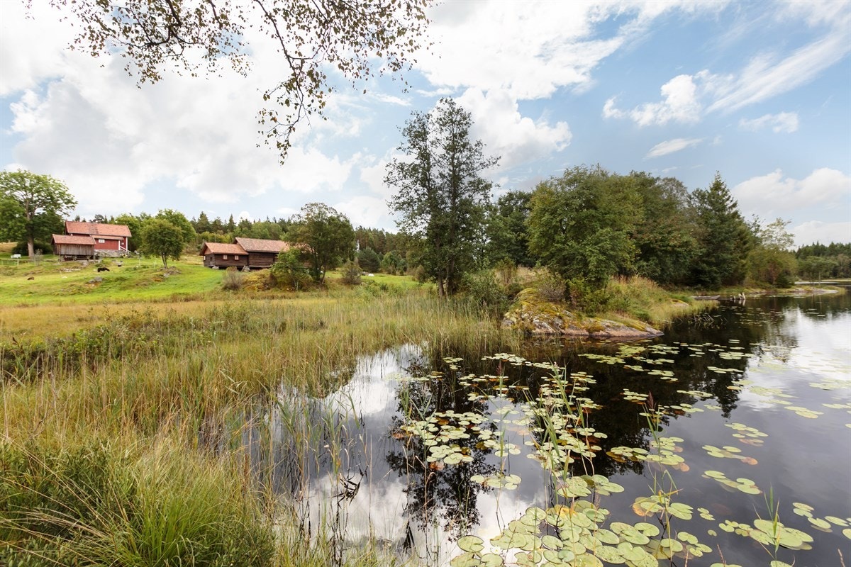 Bøensætretjern ligger nedenfor gården Galleribilde