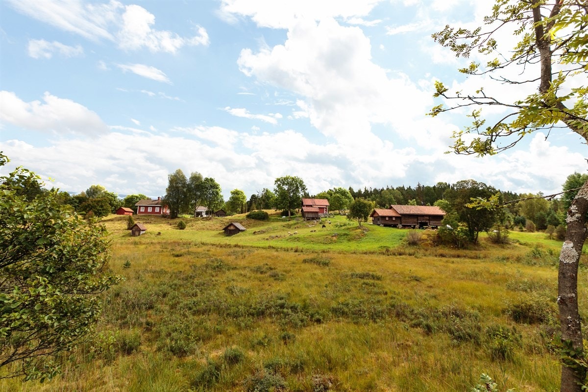 Vakkert landskap rundt husmannsplassen Galleribilde