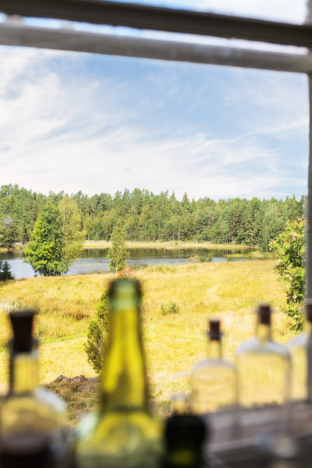 Utsikt fra skolestua Galleribilde