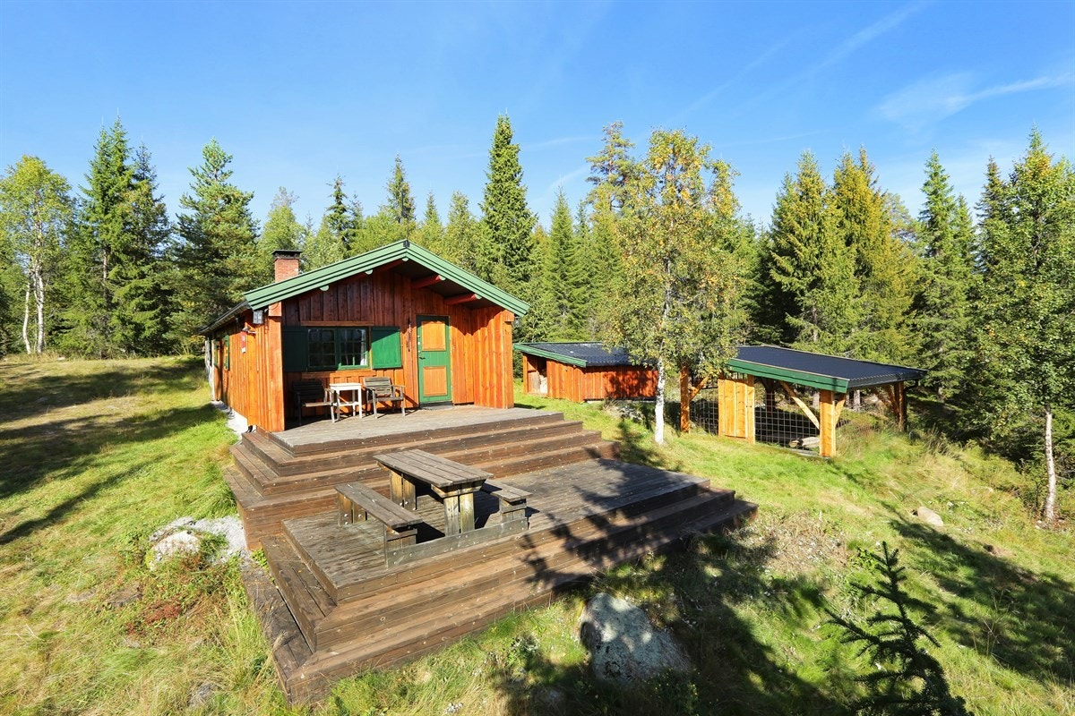 Ved hytta er det også et uthus og en hundegård. Galleribilde