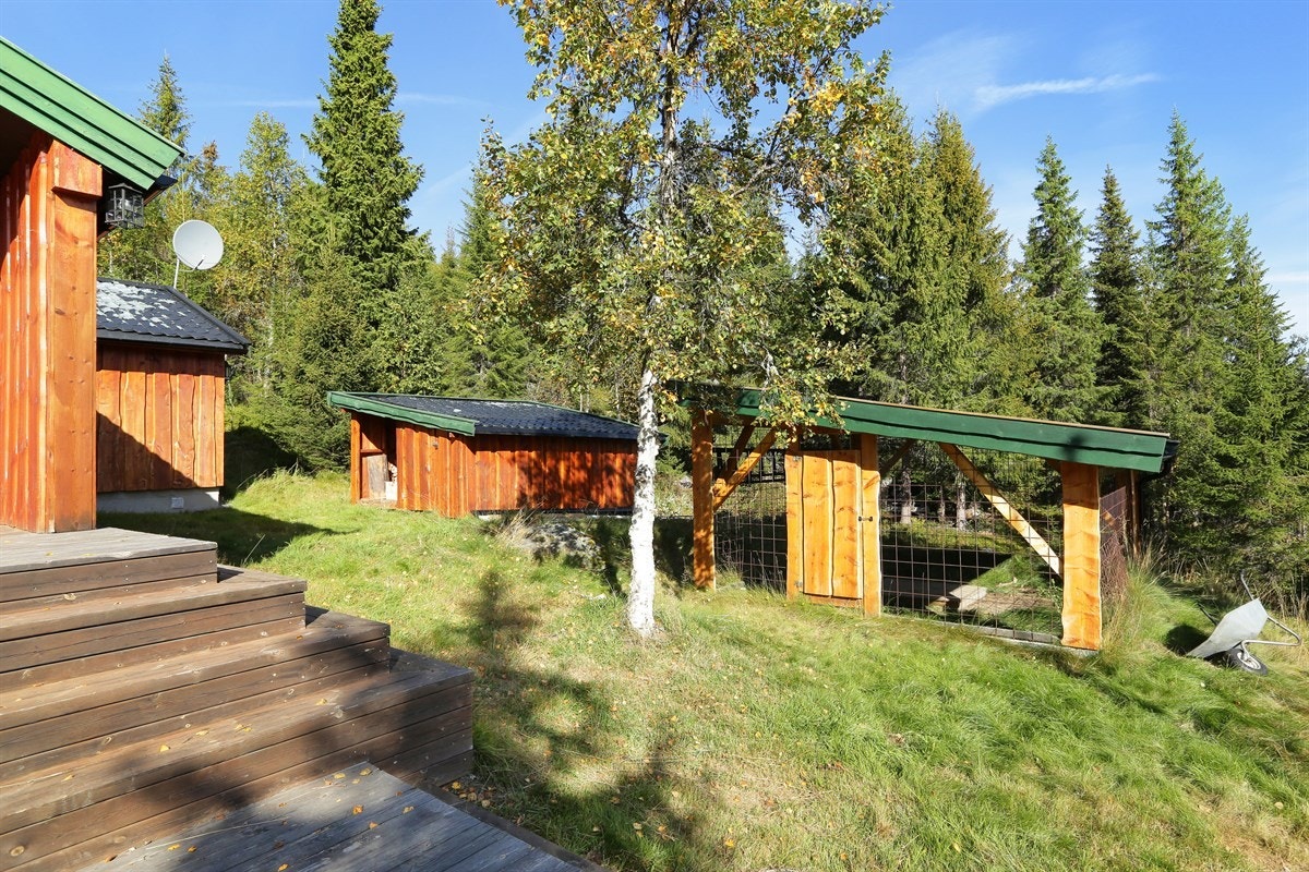 Hundegård Galleribilde