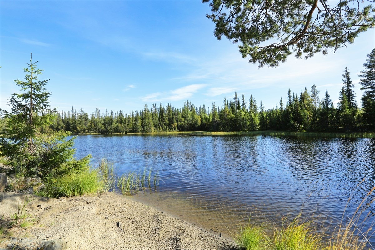 Det er fine bademuligheter i Vesle Øyangen. Galleribilde